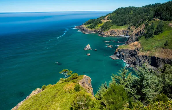Sea, trees, stones, rocks, coast, horizon, USA, Oregon