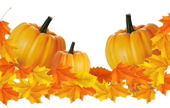 Picture autumn, leaves, pumpkin, vector graphics