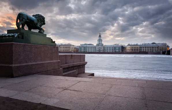 Picture river, building, Leo, Saint Petersburg, sculpture, Russia, promenade, Cabinet of curiosities