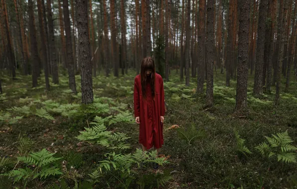 Picture girl, in the woods, Aleks Five