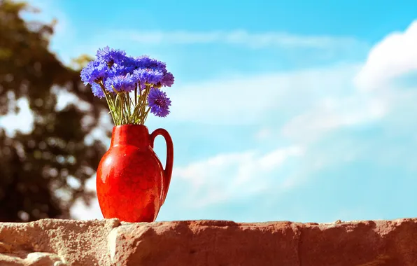 Picture the sky, flowers, vase