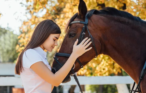 Autumn, girl, pose, Park, horse, foliage, horse, hand