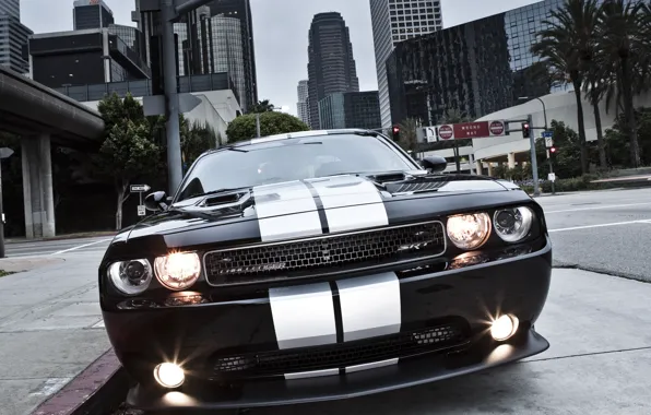 The city, strip, black, lights, muscle car, Dodge, skyscrapers, dodge