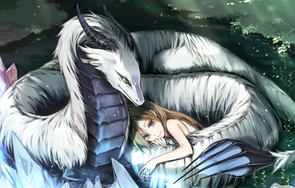 Picture white, love, dragon, protection, girl, beautiful, Dragon love