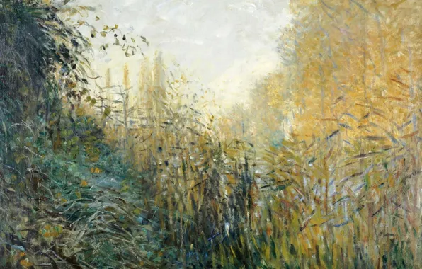 Nature, picture, Claude Monet, The reeds