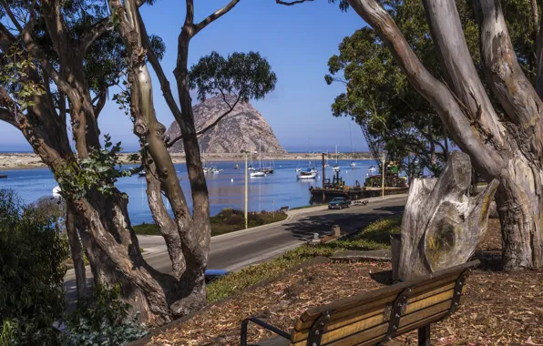 Picture road, sea, the sky, trees, mountains, island, bench