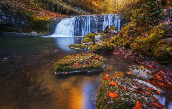 Picture autumn, forest, leaves, river, stones, France, waterfall, cascade