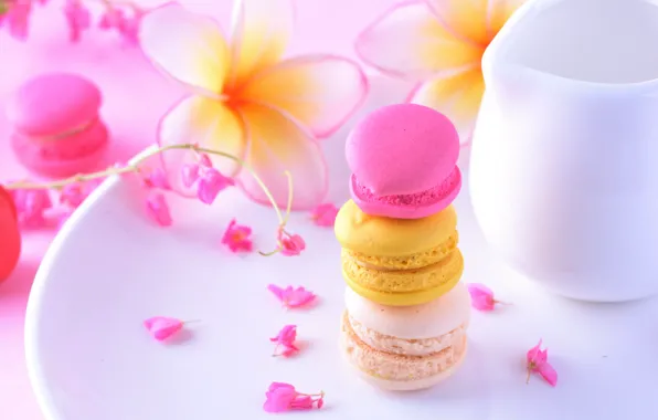 Flowers, the sweetness, tape, cake, cakes, plumeria, macaroon