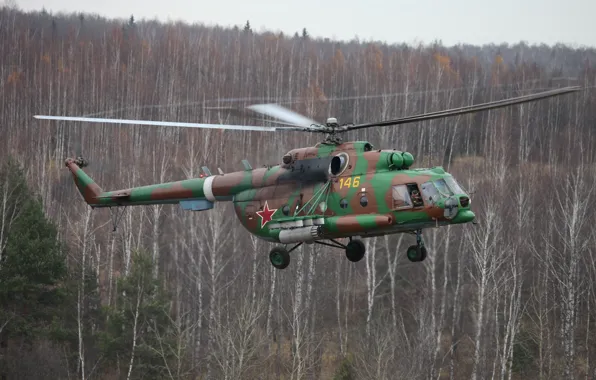 Picture autumn, trees, Helicopter, blades, Mi-8MTV