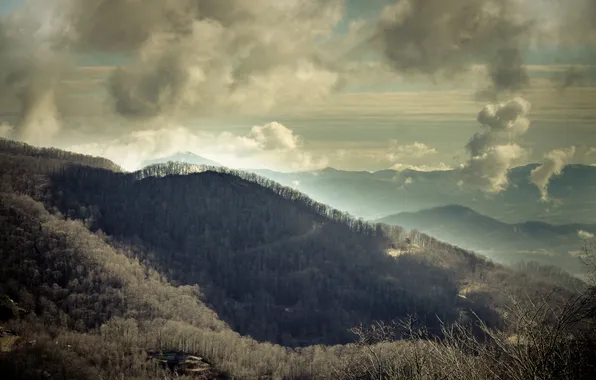 Forest, clouds, trees, mountains, clouds, USA, North Carolina