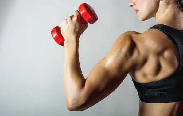 Muscles, pose, back, fitness