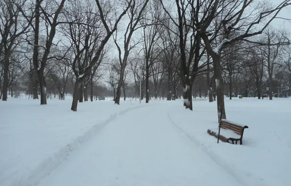 Winter, snow, nature, Park, frost, Nature, bench, park