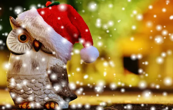 Picture owl, bird, Christmas, New year, cap, figure