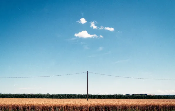 Summer, sky, clouds, telephone line, corn field