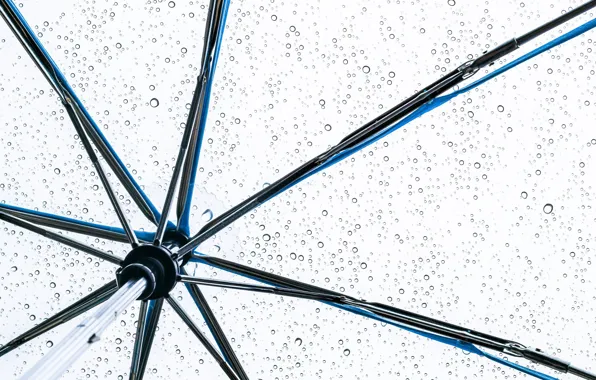 Picture umbrella, drops, raining
