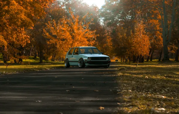 Road, autumn, road, golf, static, autumn, stance, mk2