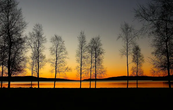 Picture the sky, trees, lake, the evening, silhouette, glow