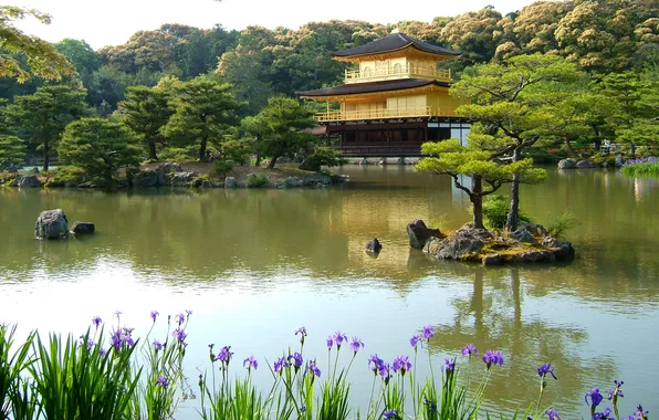 Trees, lake, house, pond, stones, Asia, needles, Sunny