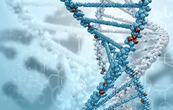 Grille, DNA, formula, plexus, structure, molecules, lattice, structure