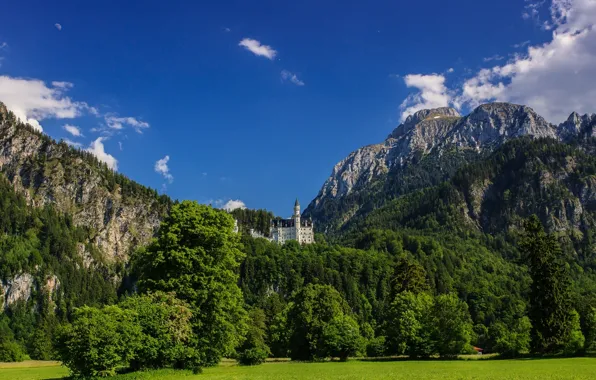 Picture forest, mountains, nature, castle