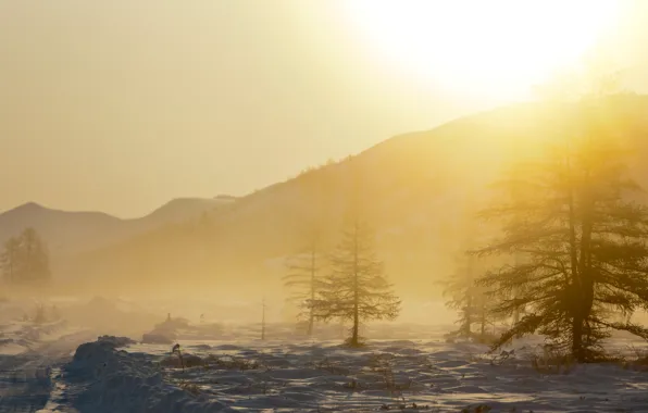 Picture snow, trees, landscape, mountains, nature, fog