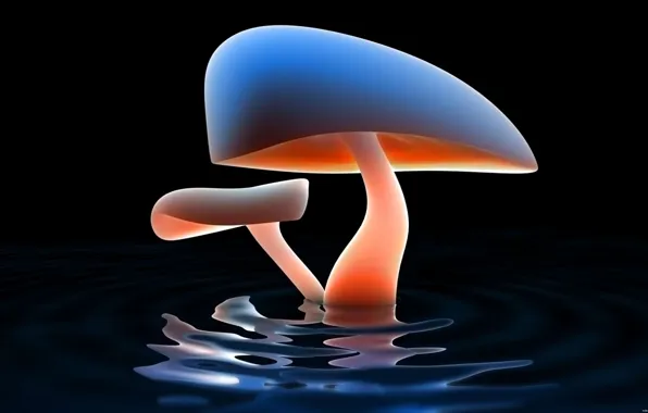 Water, reflection, Mushroom