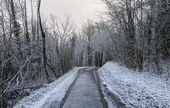 The sky, Winter, Road, Trees, Snow, Forest, Traces, The descent