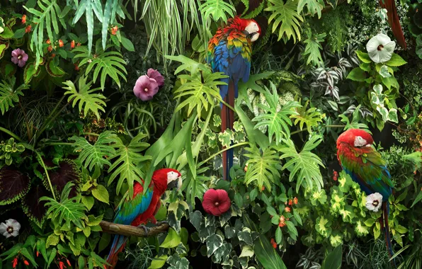 Greens, leaves, flowers, branches, nature, bird, parrot, colorful
