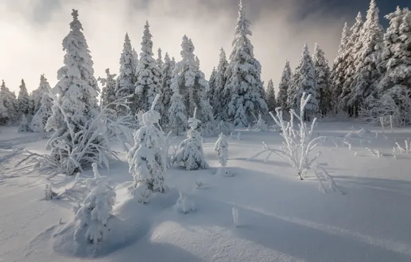 Picture winter, Russia, National Park Taganay, Chelyabinsk oblast