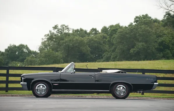 Convertible, Pontiac, GTO, Pontiac, 1964, retro cars, Convertible, LeMans