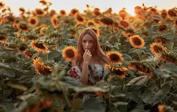 Field, sunflowers, mood, Natalie, Alexander Kozyura