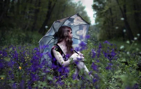 Picture girl, flowers, umbrella