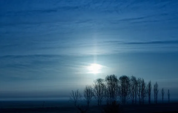 Fog, The moon, Argentina, the pampas