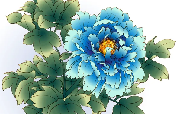 Flower, white background, peony, blue peony