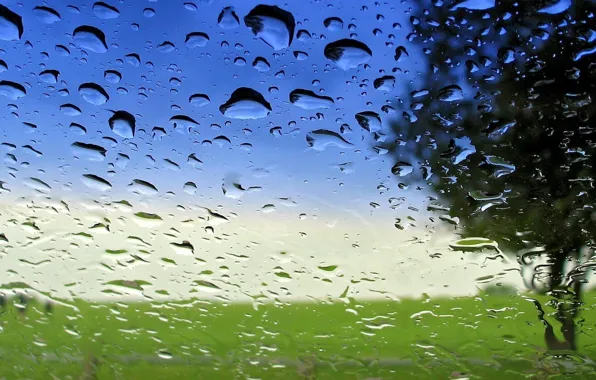 Glass, water, transparency, drops, after the rain, macro