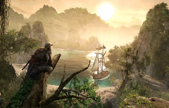 Pirate, assassin, Edward, Assassin's Creed IV: Black Flag, black flag