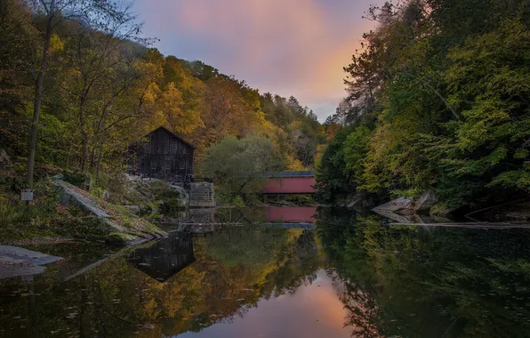 Forest, the sky, house, river, the evening