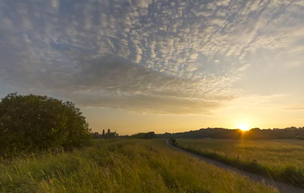 Picture field, the sky, the sun, clouds, rays, trees, sunset, glade