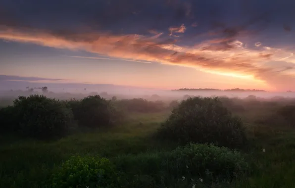 Picture summer, the sky, grass, clouds, light, fog, morning, Russia