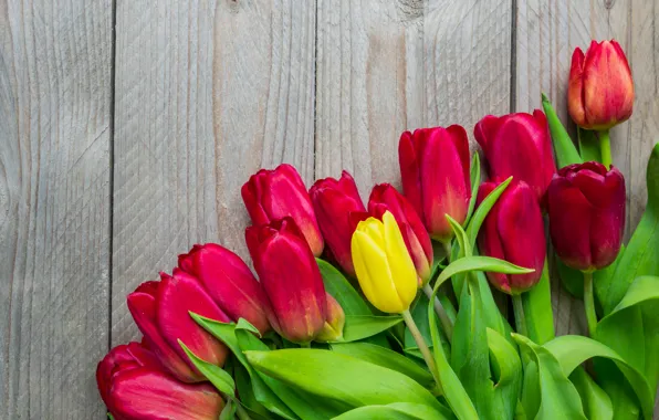 Flowers, bouquet, colorful, tulips, red, wood, flowers, tulips