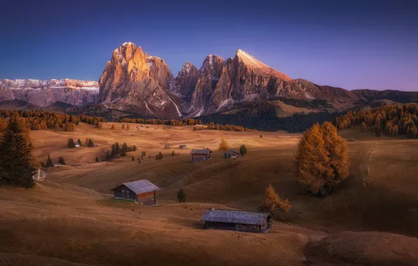Picture Italy, autumn, Dolomites, Alpe di Siusi