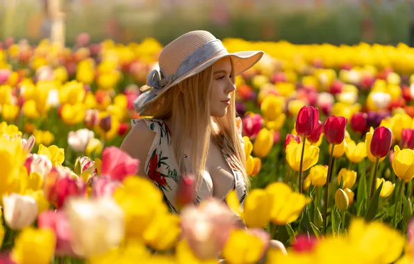 Hat, blonde, tulips, bokeh, Sophia