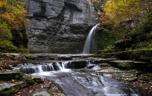 Nature, waterfall, eagle falls