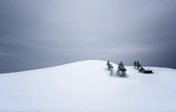 Picture house, trees, winter