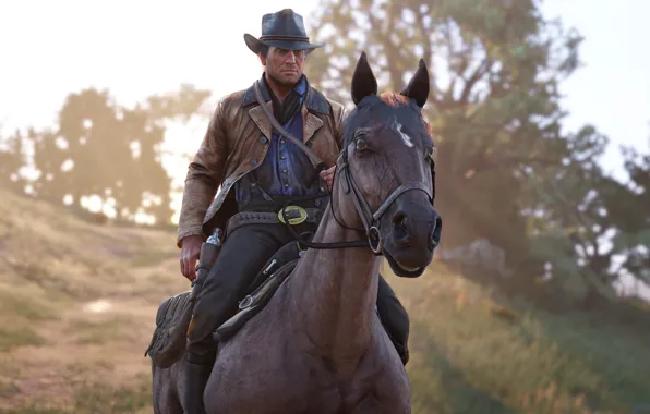 Picture horse, hat, revolver, Rockstar, Bandit, Red Dead Redemption 2, Arthur Morgan