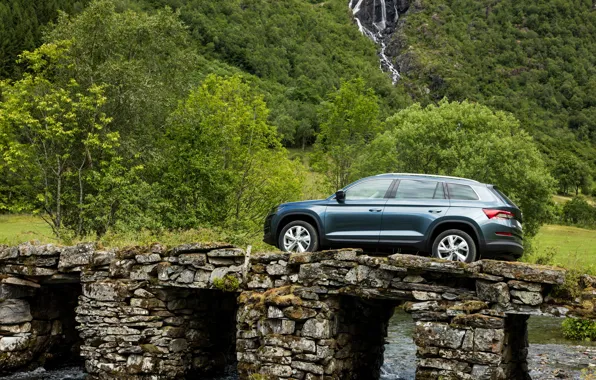 Water, bridge, vegetation, side view, SUV, Skoda, Skoda, 2016