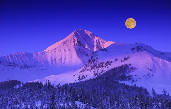 Winter, forest, the sky, snow, trees, mountains, the moon, Montana