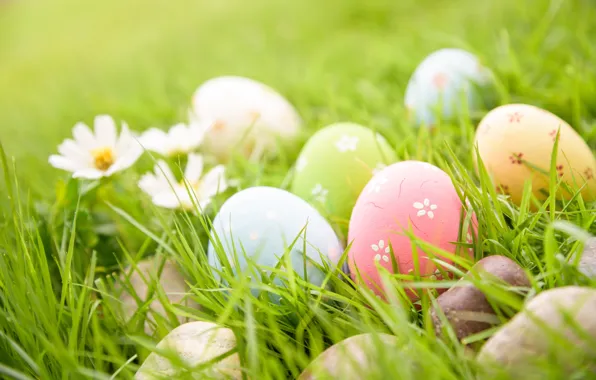 Picture grass, flowers, eggs, Easter, happy, flowers, eggs, easter