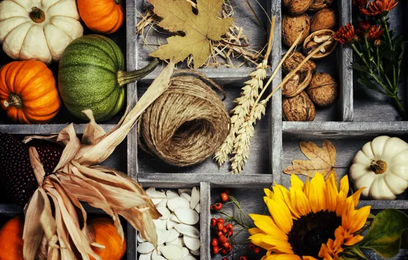 Picture autumn, leaves, basket, harvest, pumpkin, vegetables, autumn, still life