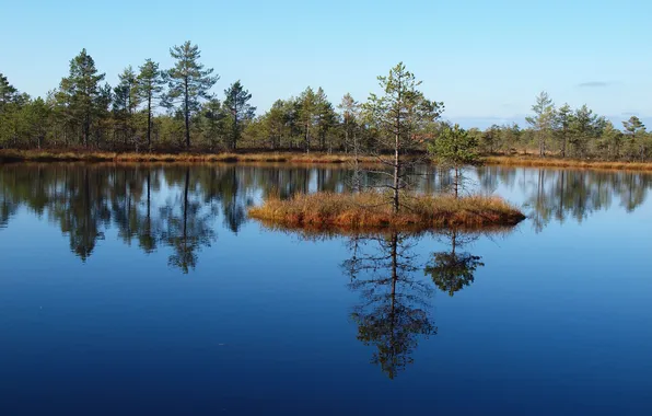 The sky, trees, lake, island